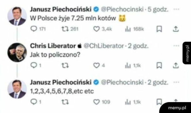 Koty opanowały internet!