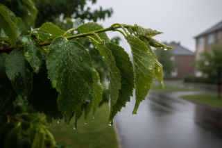 Załamanie pogody w weekend w Rzeszowie. Ten dzień będzie najgorszy!