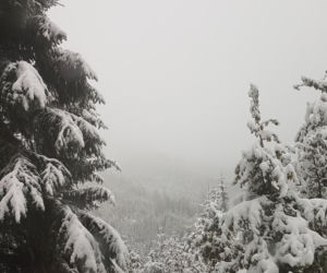 Na Dolnym Śląsku spadł pierwszy śnieg! Zobacz zdjęcia [GALERIA]