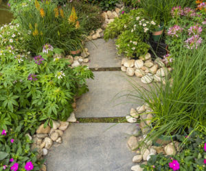 Ścieżka w ogrodzie