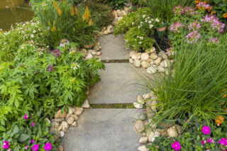Ścieżka w ogrodzie