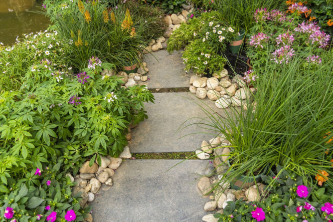 Ścieżka w ogrodzie