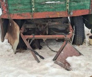 Psy na łańcuchach bez wody i jedzenia. Małżeństwo odpowie za znęcanie się nad 16 psami