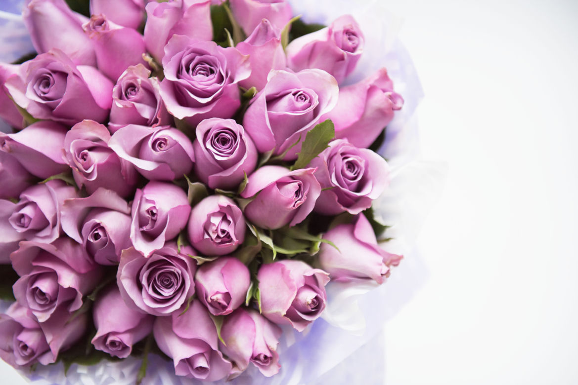 Róża