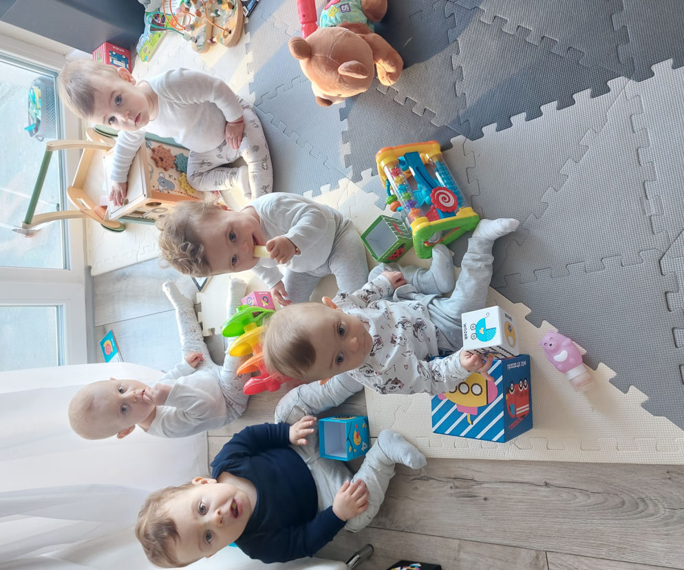Pięcioraczki z Gniezna stawiają pierwsze kroki. Wszędzie ich pełno
