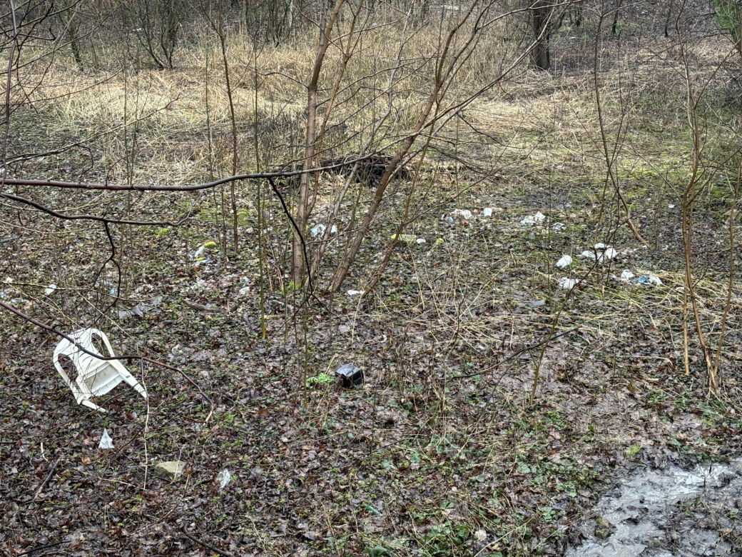 Tak źle jeszcze nie było? Olsztyn cały zaśmiecony. „Jest to problem dla właścicieli zwierząt i turystów”