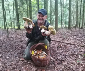 Król starachowickich lasów Samotny Wilk