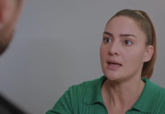 Miłość i nadzieja, odcinek 345. Kuzey, Yildiz