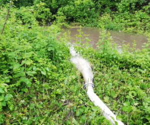 Powódź w Krakowie: Zalana ulica Półłanki 24.05.2019