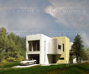 Zdjęcie 5343