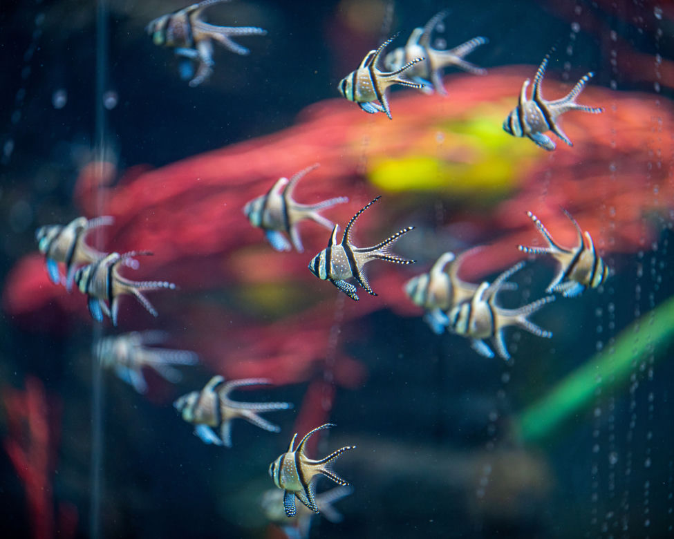 Orientarium Łódź ZOO