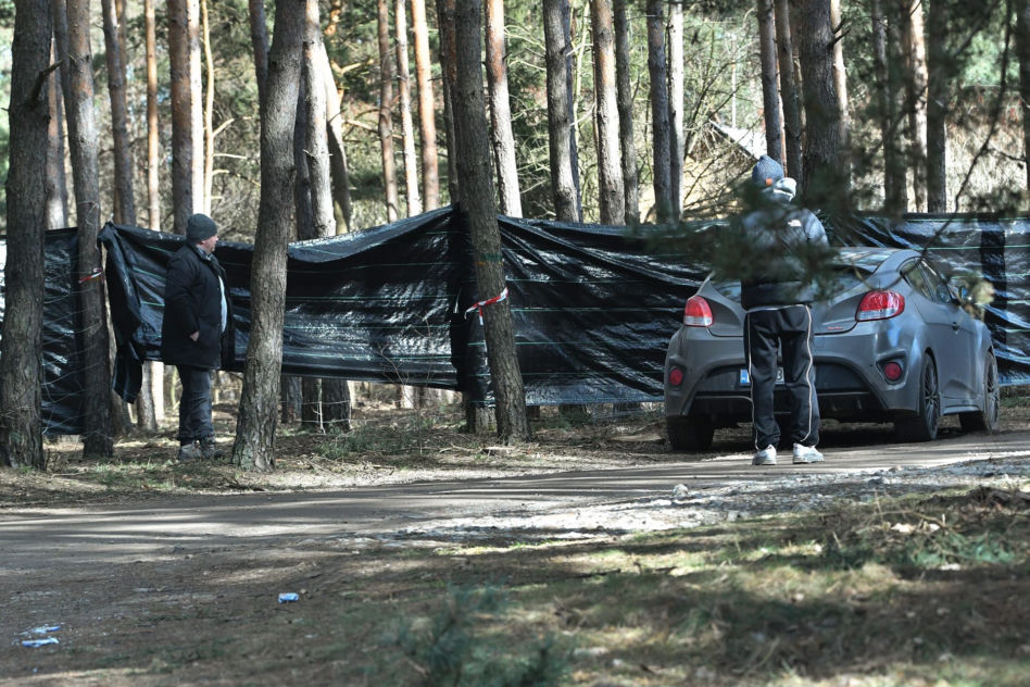 Musiał kupuje tajny las