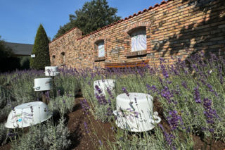 Ukryty raj na Śląsku. Spacer jak podróż do Toskanii