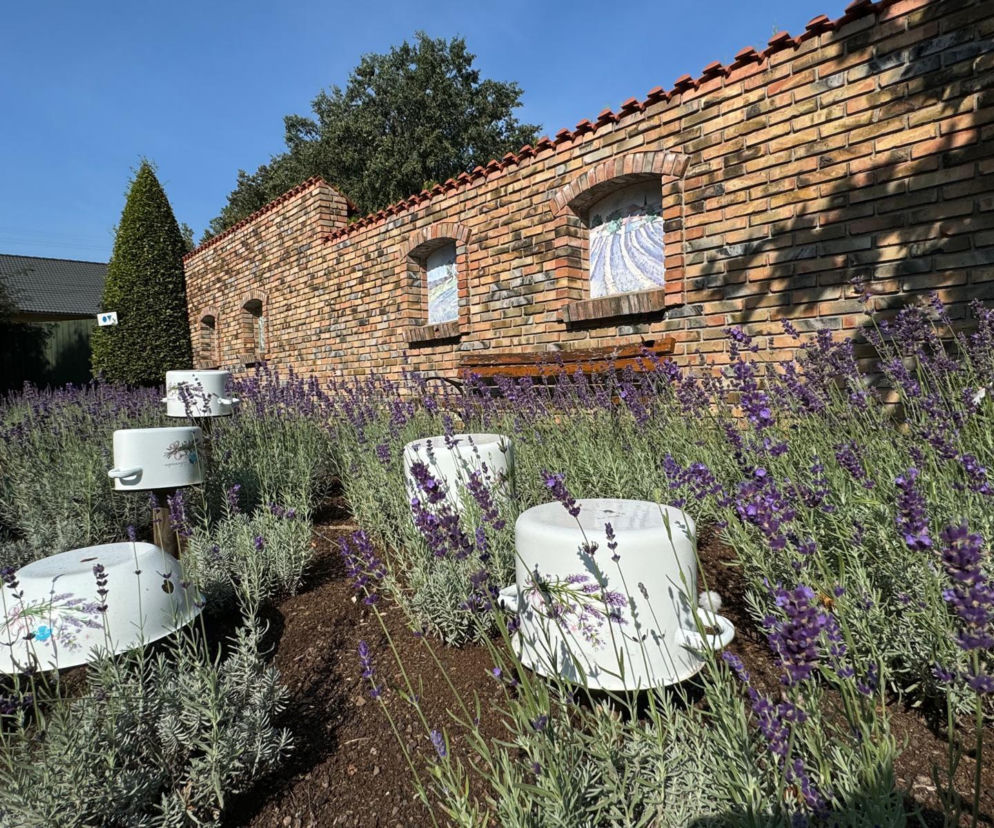 Ukryty raj na Śląsku. Spacer jak podróż do Toskanii