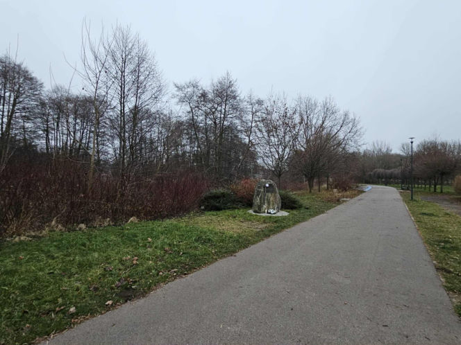 Poćwiartował ciało współlokatora i zakopał w parku! Po wszystkim napisał do matki Mateusza