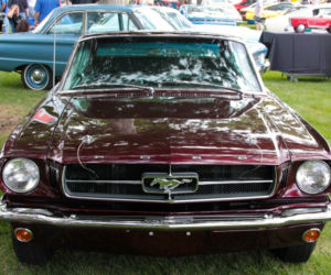 Ford Mustang Shorty