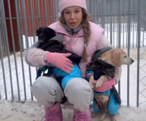 Doda ratuje psy przed mrozem