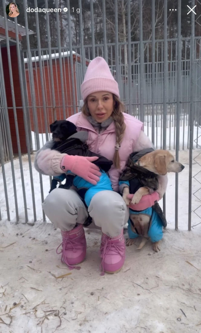 Doda ratuje psy przed mrozem