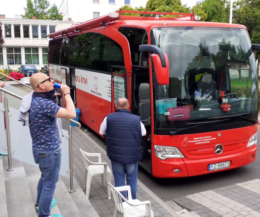 bus