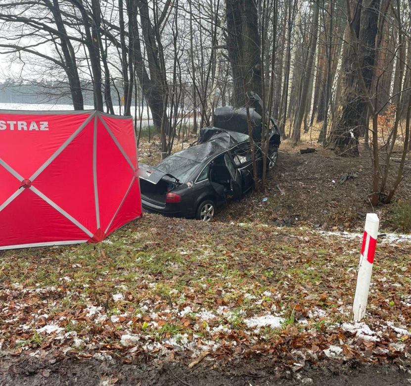 Audi roztrzaskało się na drzewie, 40-latek zginął na miejscu
