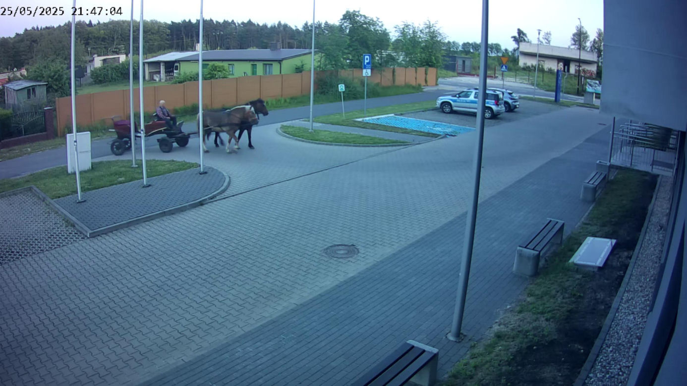 Poddębice. Wóz konny na parkingu komendy. Kierowca nietrzeźwy i z dożywotnim zakazem [ZDJĘCIA]. 