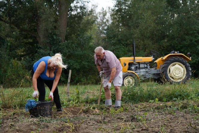 3. odcinek "Sanatorium miłości"