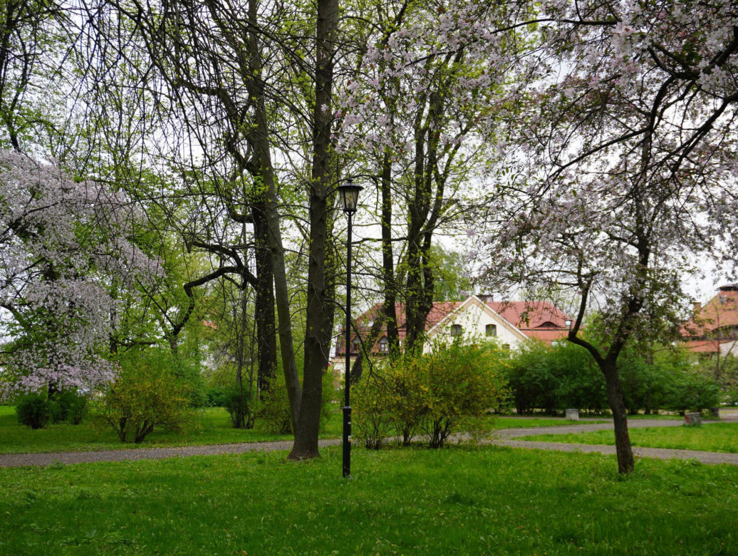 Park Bronowice wiosną 2024