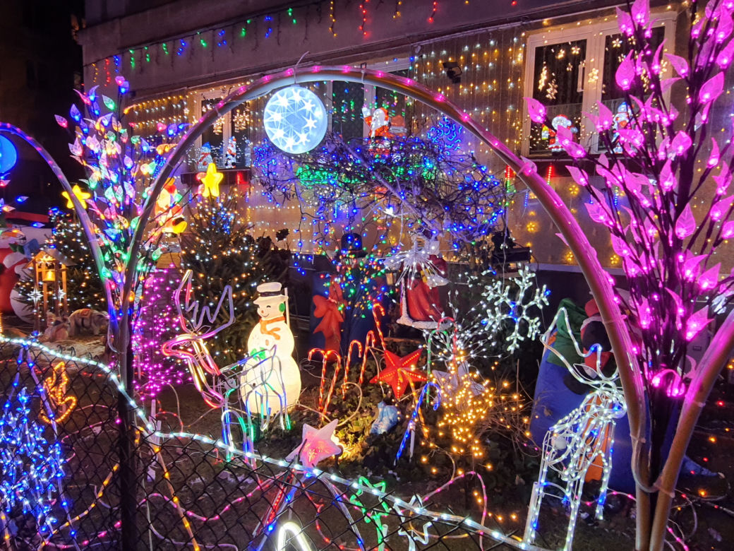 Odlotowy ogród na Bielanach. Niesamowite iluminacje!  