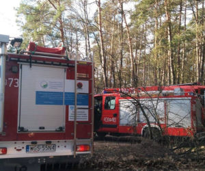 Gostynin: Ledwie wyszedł ze szpitala i ugrzązł na bagnach! Na pomoc ruszyli strażacy! [ZDJĘCIA]