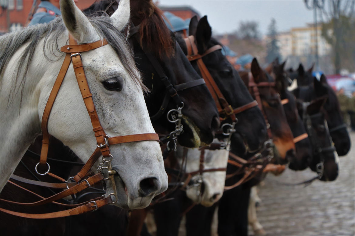 Tak Toruń świętował 100. rocznicę powrotu do wolnej Polski