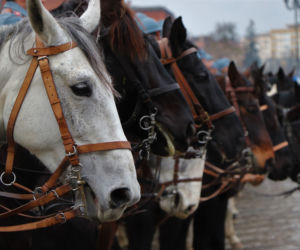 Tak Toruń świętował 100. rocznicę powrotu do wolnej Polski