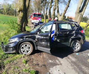 Robiła wszystko, aby uratować kota. 57-latka uderzyła w drzewo!
