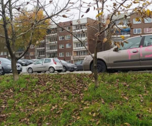 Akt wandalizmu w Sosnowcu. Na zaparkowanych samochodach pojawił się symbol pioruna i napis j...ać PiS. Prezydent mówi o prowokacji [ZDJĘCIA]
