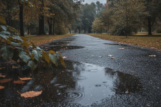 Weekend w Katowicach ma jeden słabszy moment. Ten dzień może pokrzyżować plany