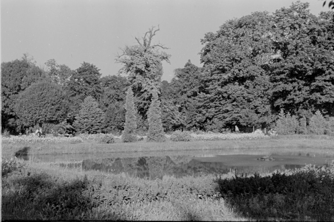 Park