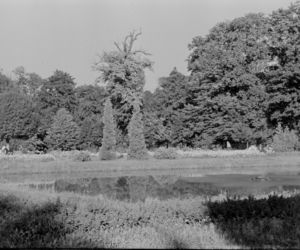 Park