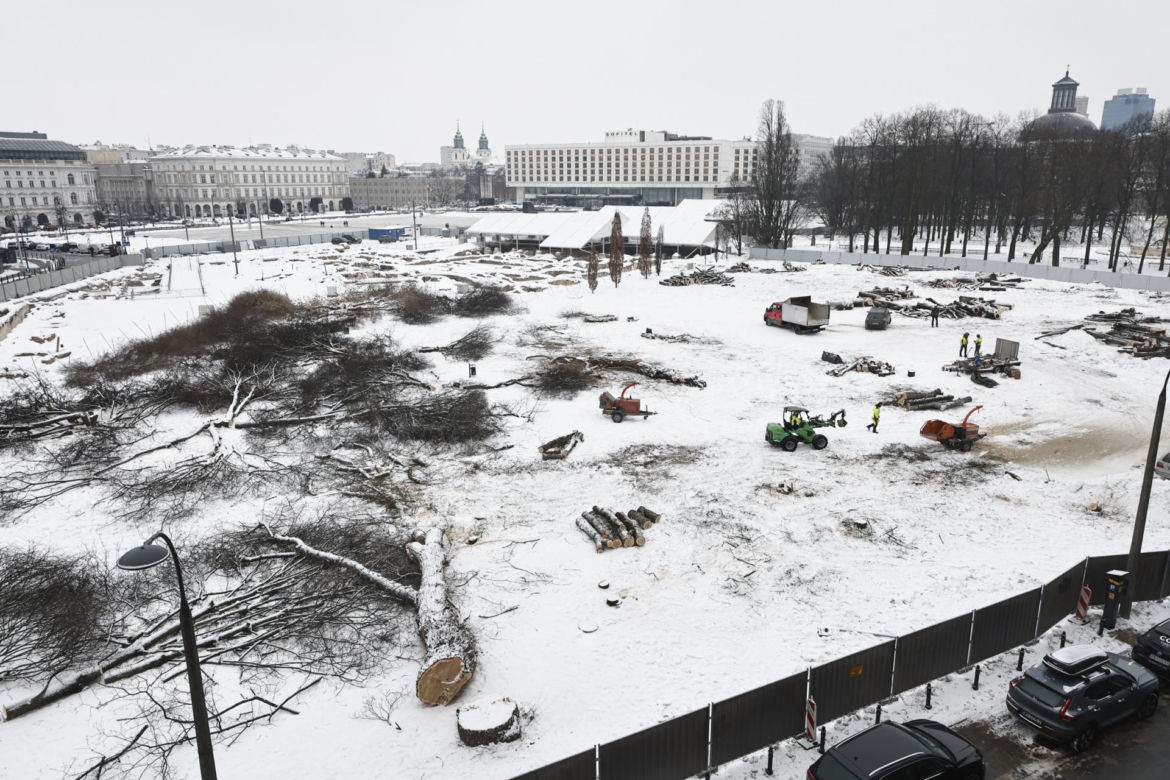 Rzeź drzew w parku w centrum Warszawy. Przygnębiający widok przed odbudową Pałacu Saskiego