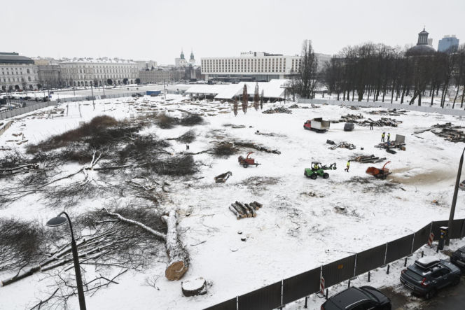 Rzeź drzew w parku w centrum Warszawy. Przygnębiający widok przed odbudową Pałacu Saskiego