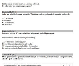 Egzamin gimnazjalny, język polski ARKUSZE