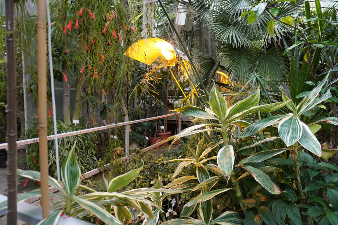 Ogród Botaniczny w Lublinie