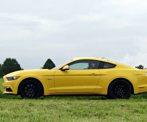 Ford Mustang GT 5.0 V8