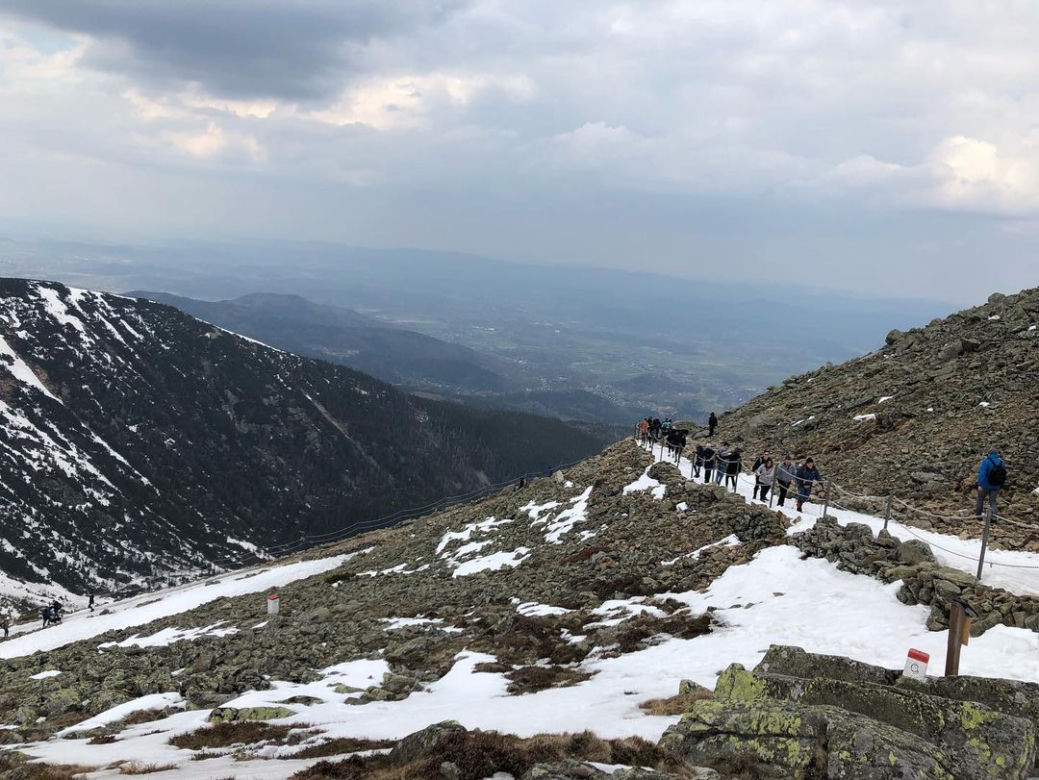 Śnieżka w śniegu. We wrześniu spadł pierwszy śnieg