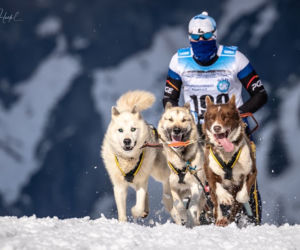 Waldemar Stawowczyk Team
