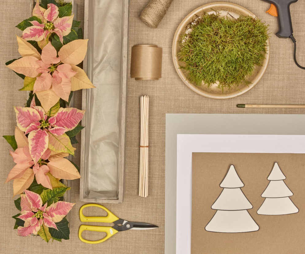 Kalendarz adwentowy z choinkami z papieru i mini poinsecjami