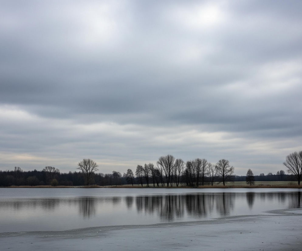 Szary, pochmurny dzień nad zbiornikiem wodnym częściowo pokrytym lodem. Horyzont przecina linia bezlistnych drzew i zarośli, których odbicia widać na spokojnej tafli wody. Na pierwszym planie, po prawej stronie, lód pokrywa brzeg, tworząc nieregularne wzory i pęknięcia, stopniowo zanikając w lewo. Całość obrazu utrzymana jest w chłodnych, stonowanych odcieniach szarości i brązu.