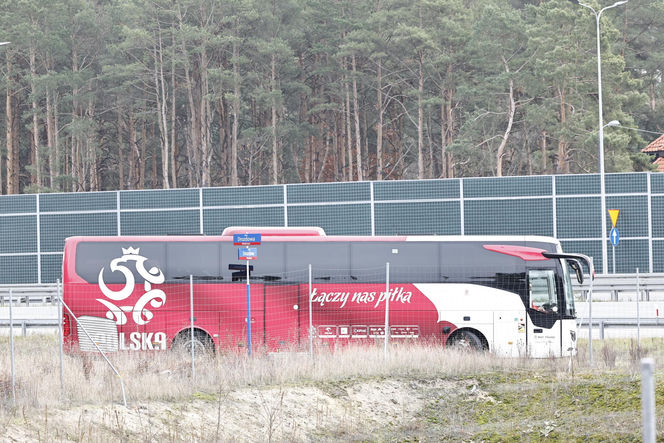 Polska - Holandia. Piłkarze poszli do lasu