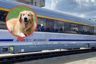 Kochamy jeździć ze zwierzętami. Są pewne zasady