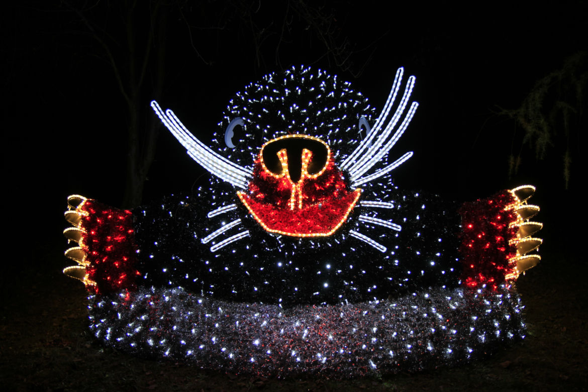 Park iluminacji „Tajemniczy Ogród” w Lublinie