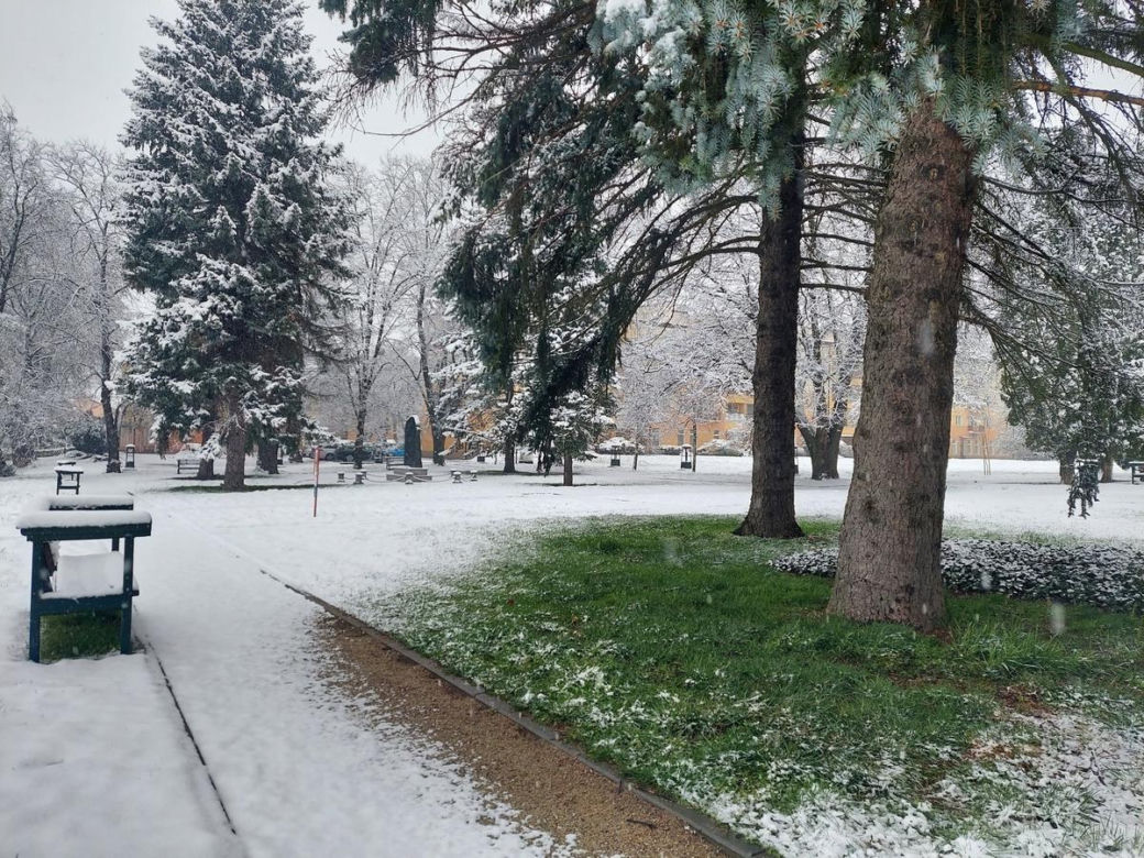 Zima w kwietniowym Zamościu. Sypnęło śniegiem
