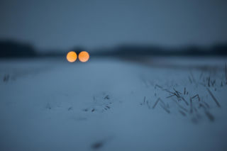 Dramat w Starym Borowcu. Jak bezpieczna zabawa zmieniła się w koszmar dla matki i córki?